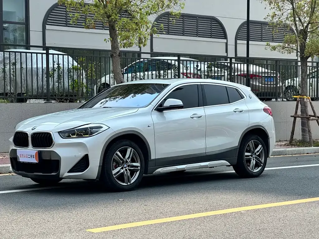 BMW X2 — фото 1