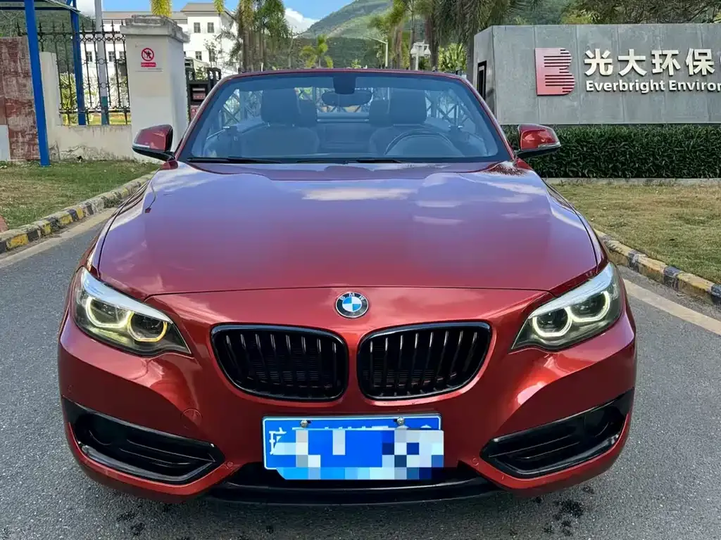 BMW 2 Series (Import) — фото 4