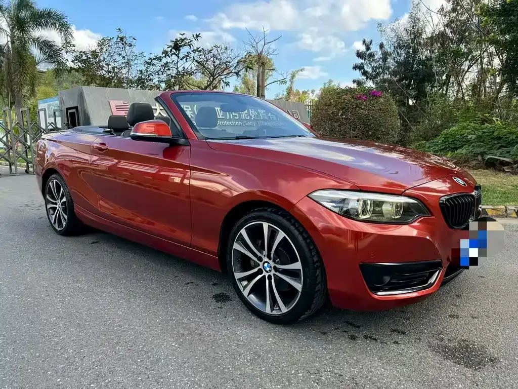BMW 2 Series (Import) — фото 8