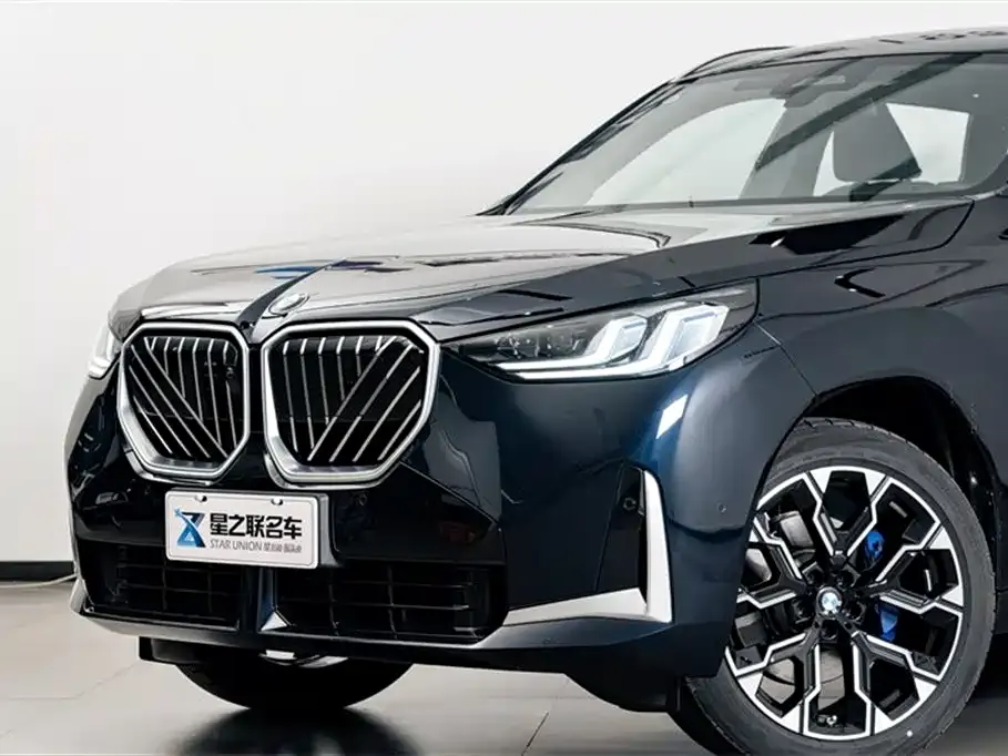 BMW X3 — фото 10