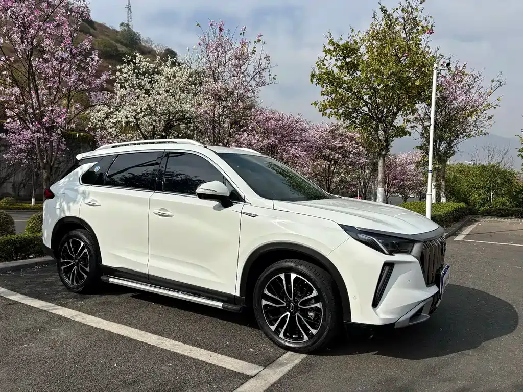 GAC Motor GS4 Plus — фото 5