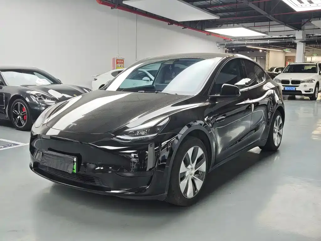 Tesla Model Y — фото 1