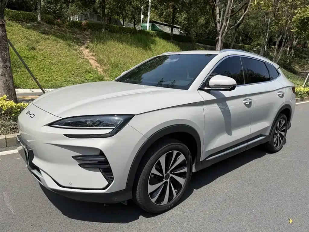 BYD PLUS New Energy — фото 1