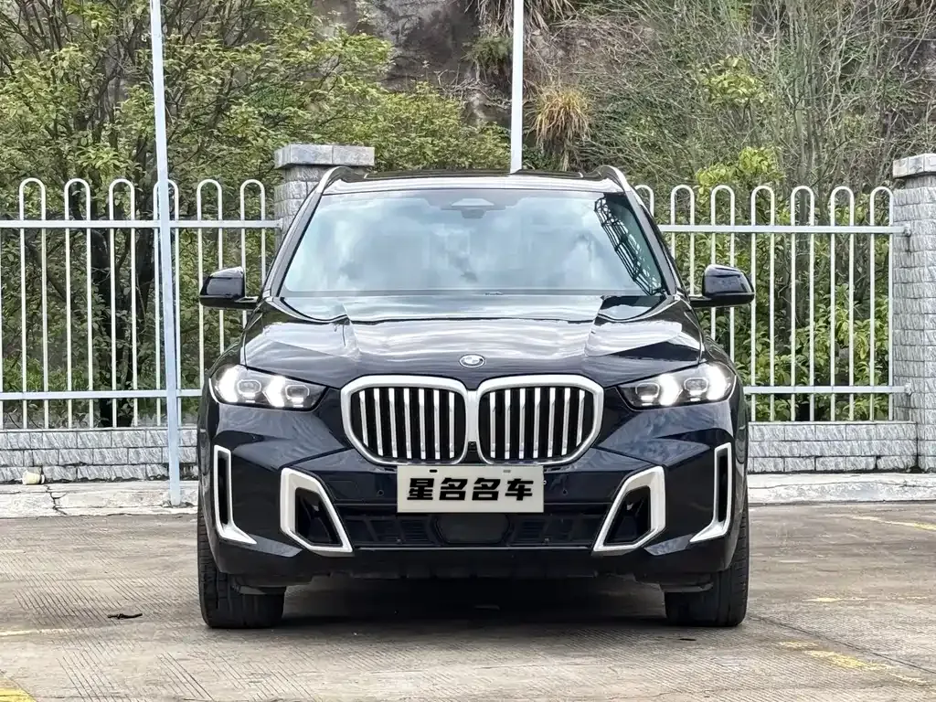 BMW X5 — фото 6