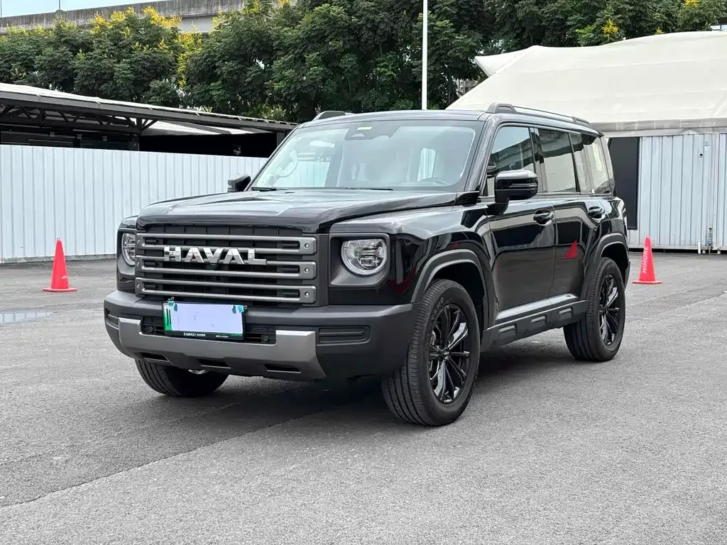 Haval Menglong New Energy — фото 1