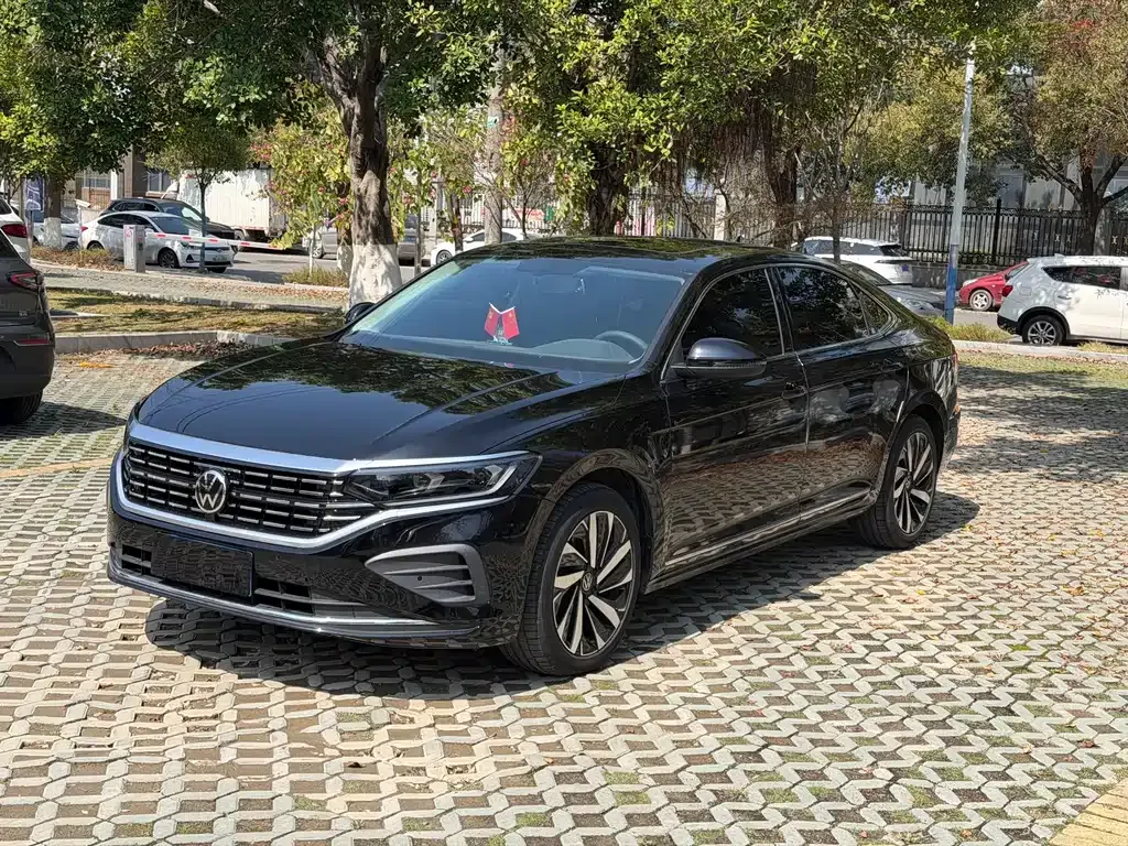 Volkswagen Passat — фото 1