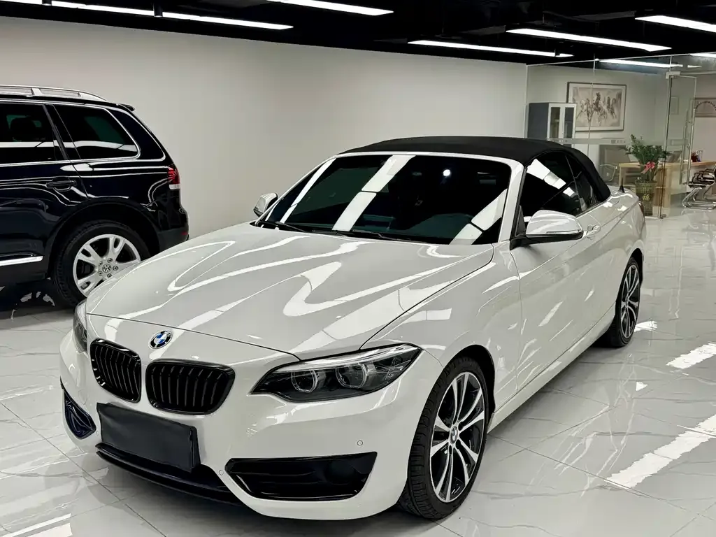 BMW 2 Series (Import) — фото 1