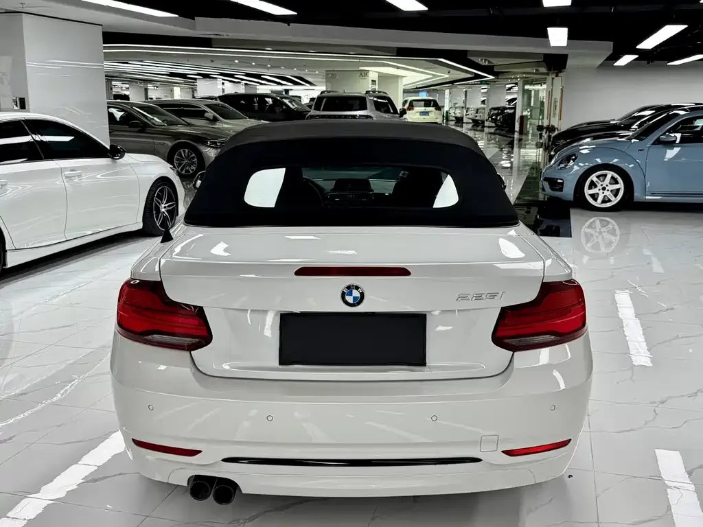 BMW 2 Series (Import) — фото 6