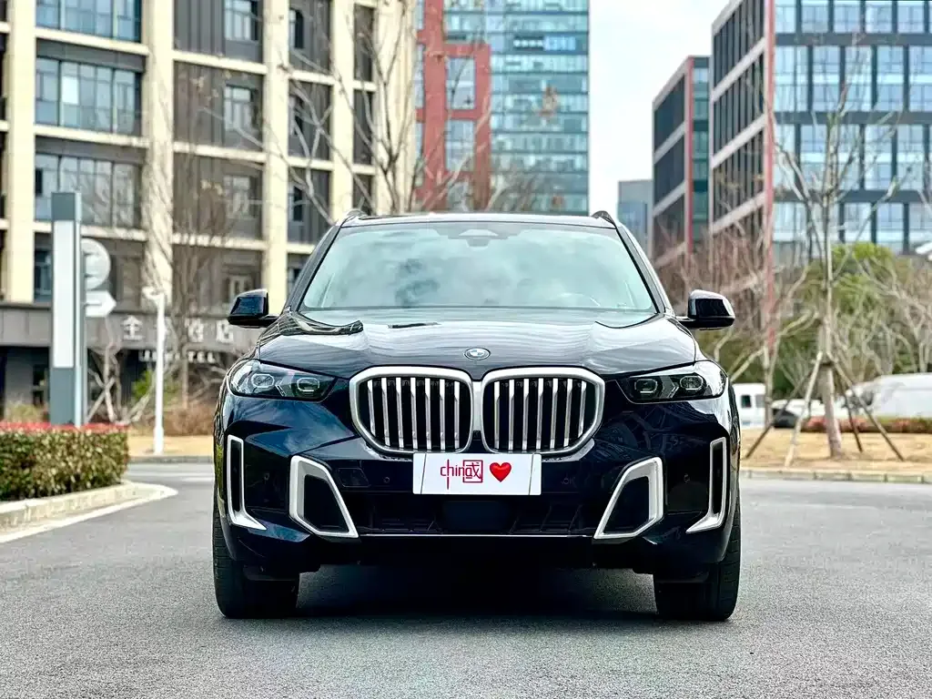 BMW X5 — фото 10