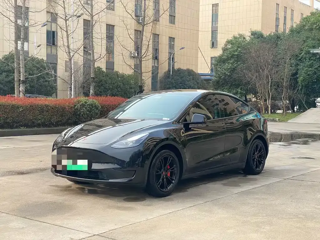 Tesla Model Y — фото 1