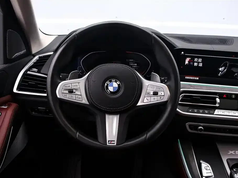 BMW X5 — фото 10