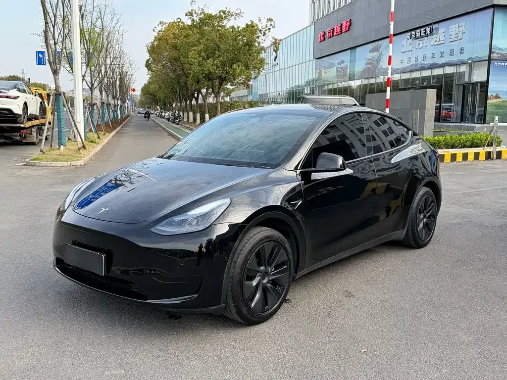 Tesla Model Y — фото 1