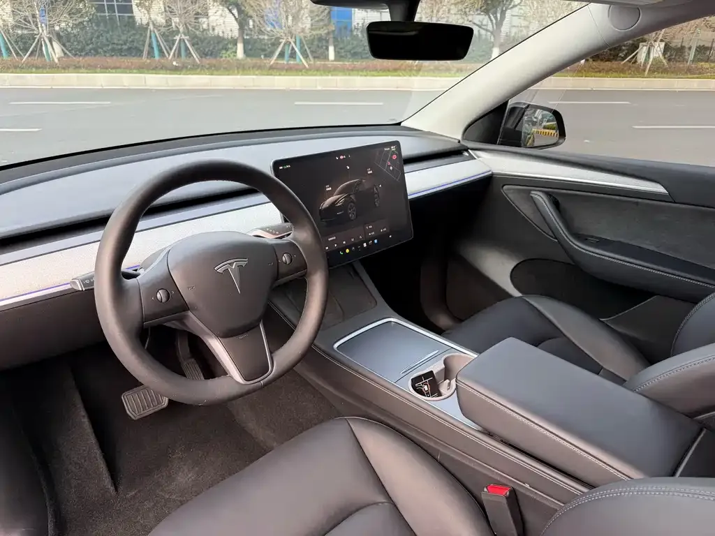Tesla Model Y — фото 7