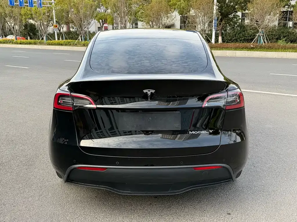 Tesla Model Y — фото 9