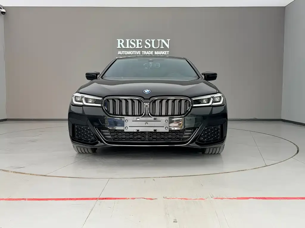 BMW 5 Series New Energy — фото 2
