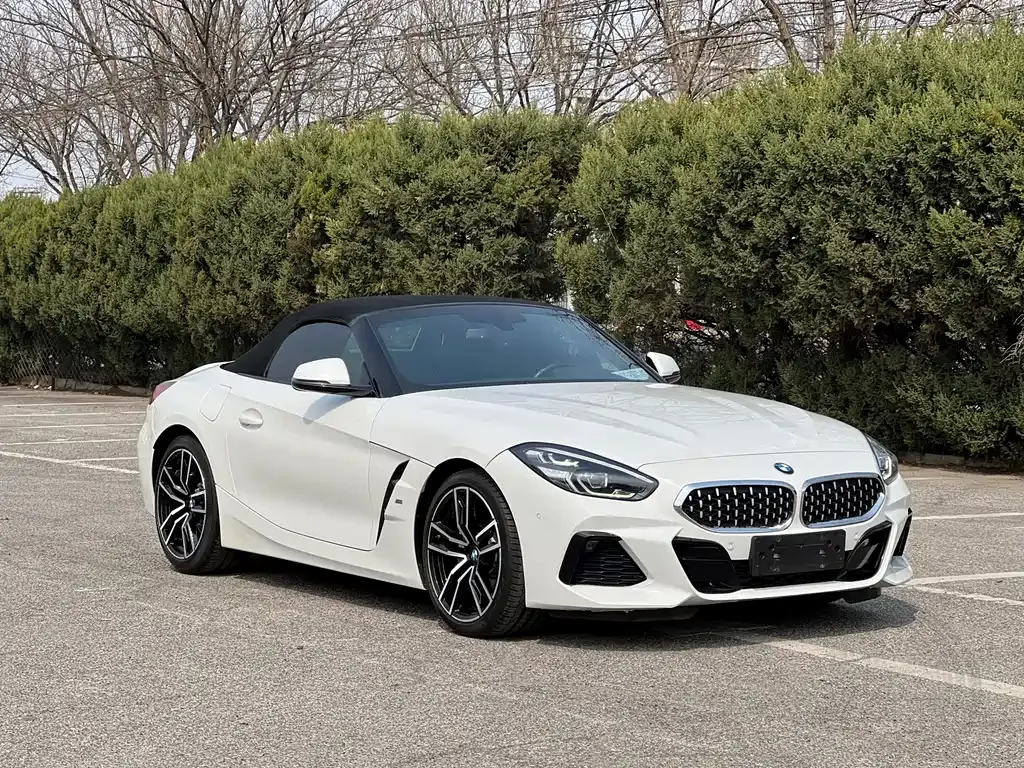 BMW Z4 — фото 8
