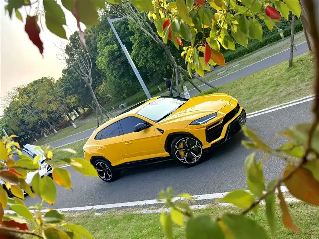 Lamborghini Urus — фото 10