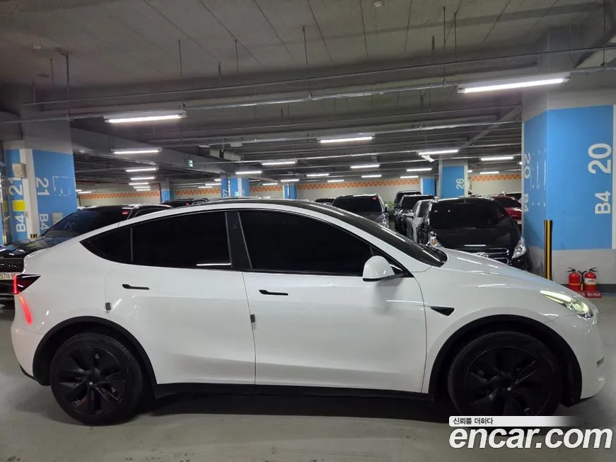 Tesla Model Y — фото 3