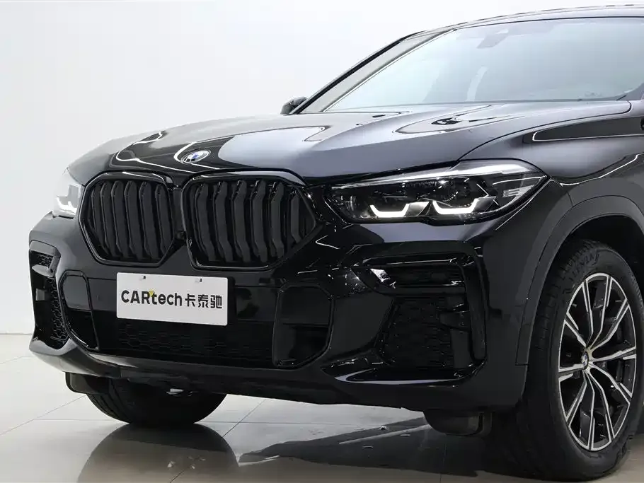 BMW X6 — фото 10