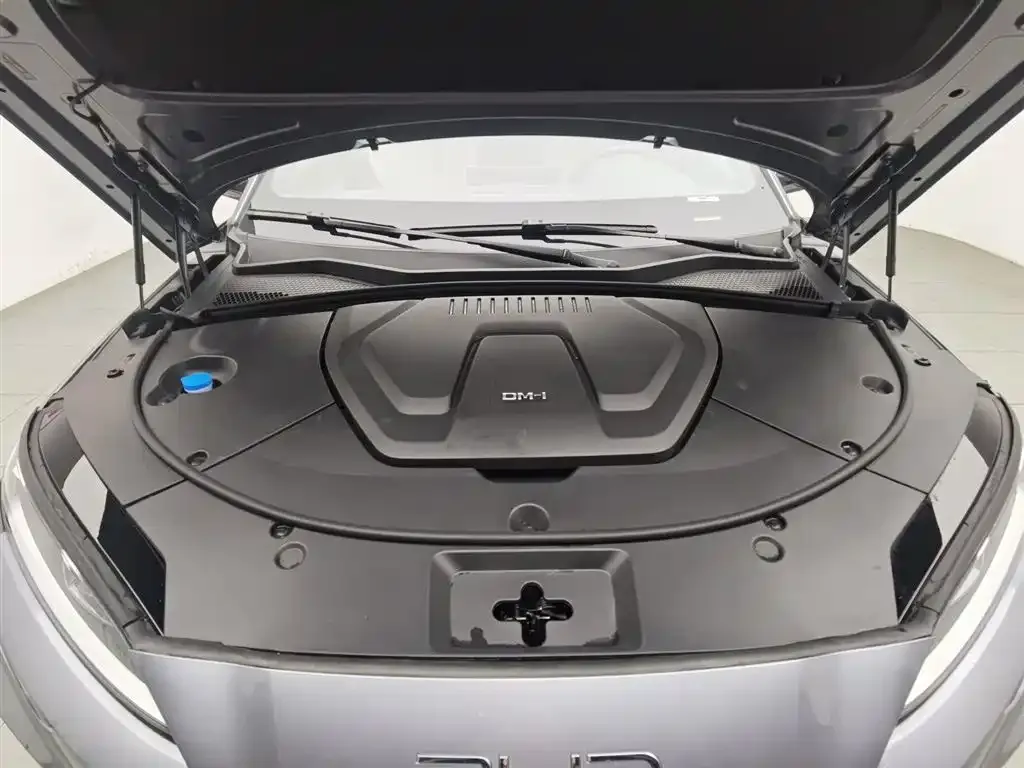 BYD PLUS New Energy — фото 4