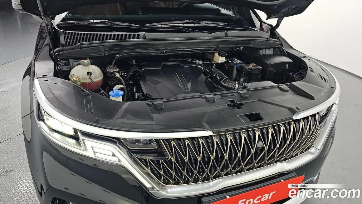 Kia Carnival — фото 10