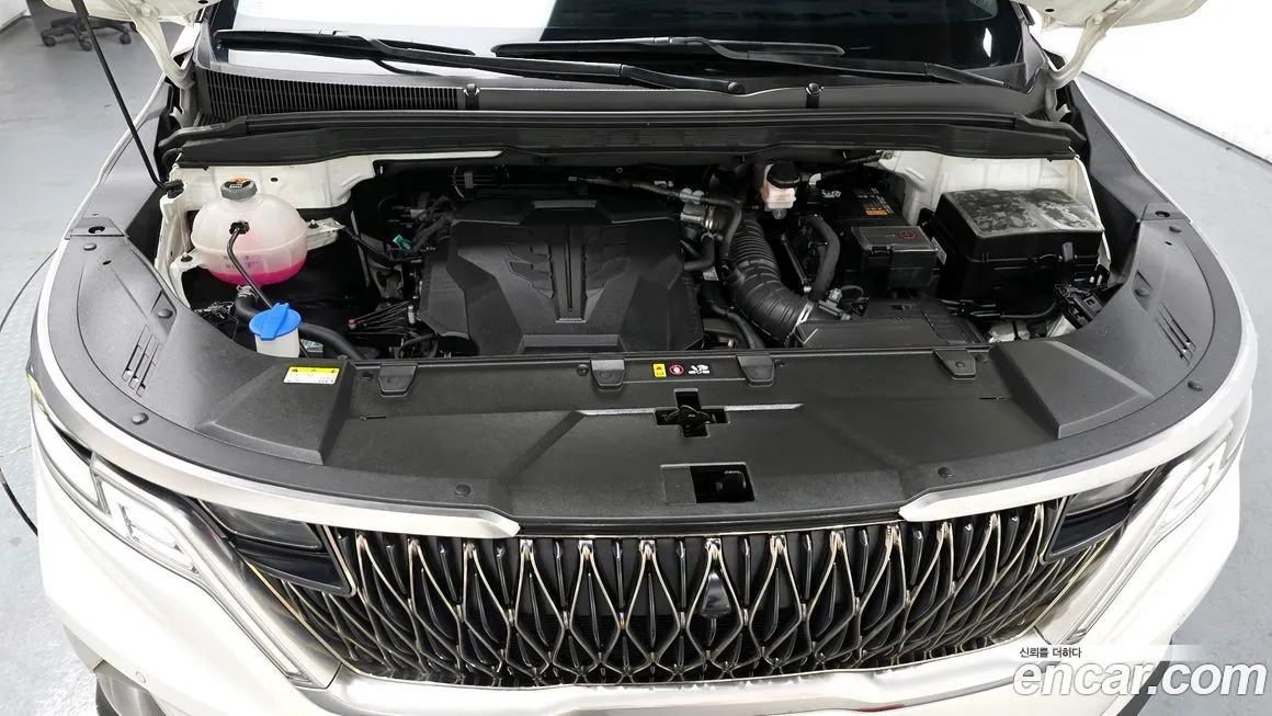 Kia Carnival — фото 10