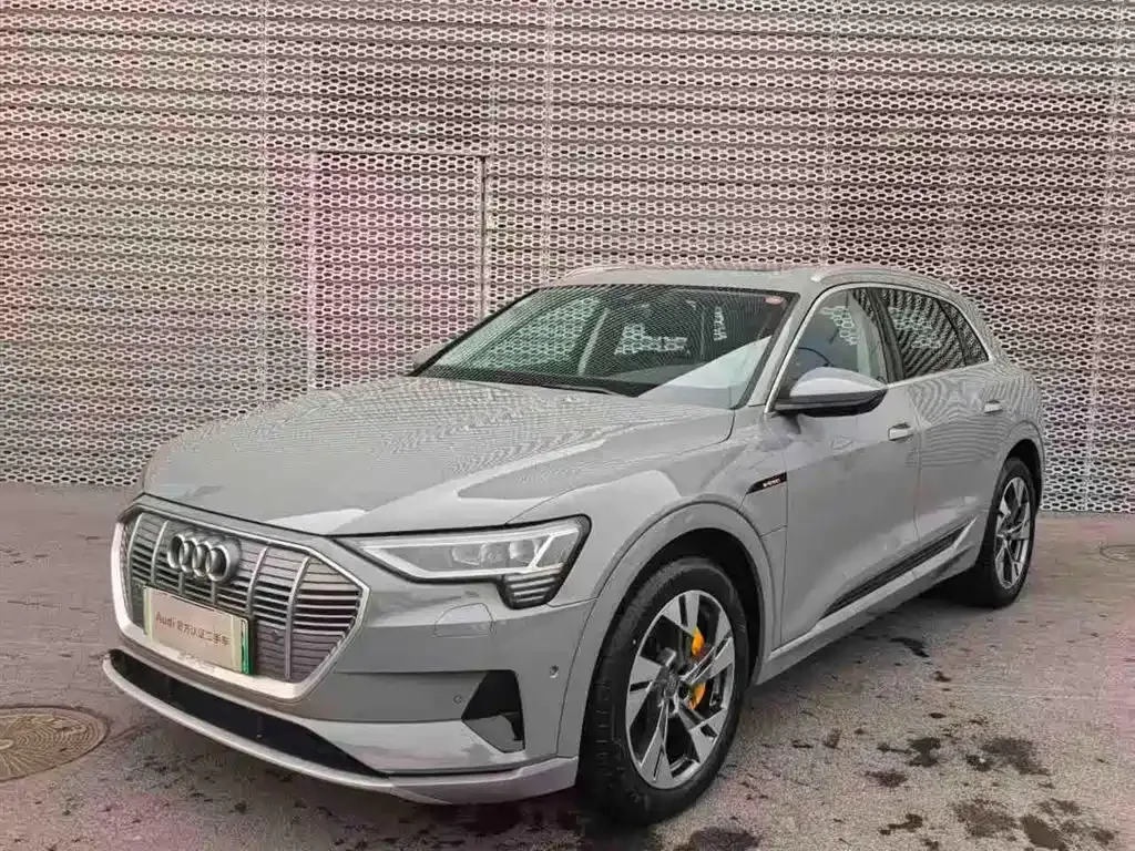 Audi e-tron (Import) — фото 1
