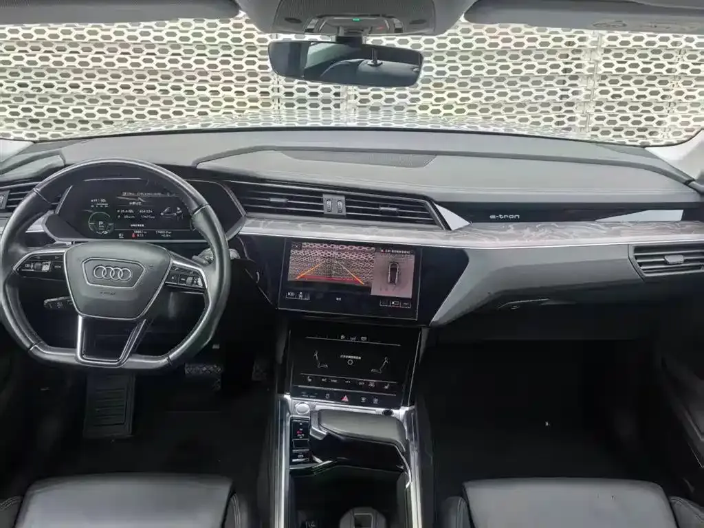 Audi e-tron (Import) — фото 3