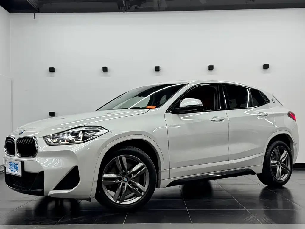 BMW X2 — фото 1