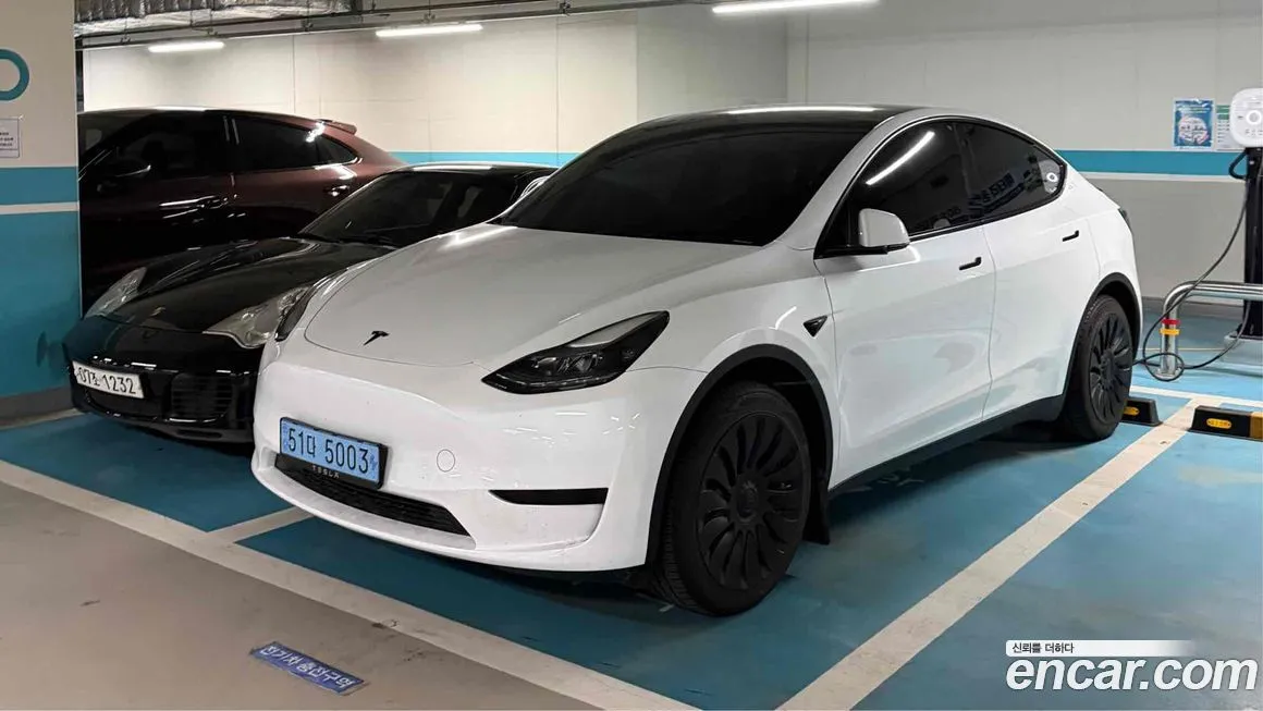 Tesla Model Y — фото 1