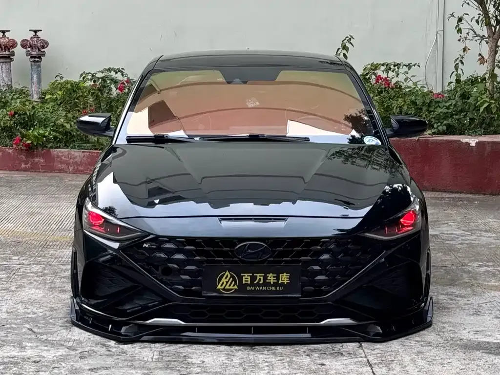 Hyundai Fista — фото 1