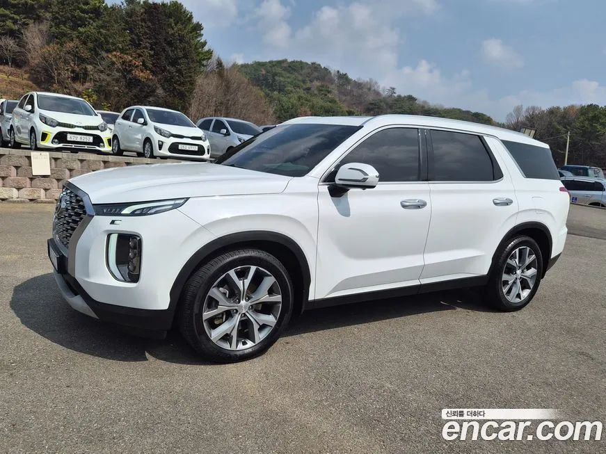 Hyundai Palisade — фото 10