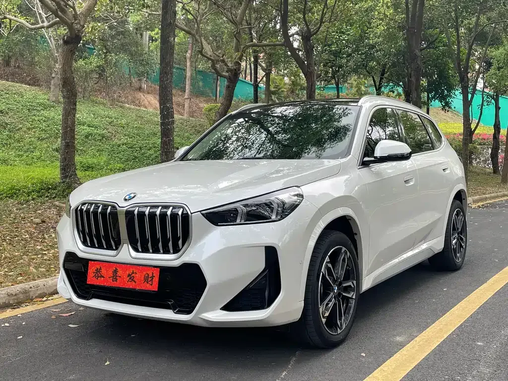 BMW X1 — фото 1