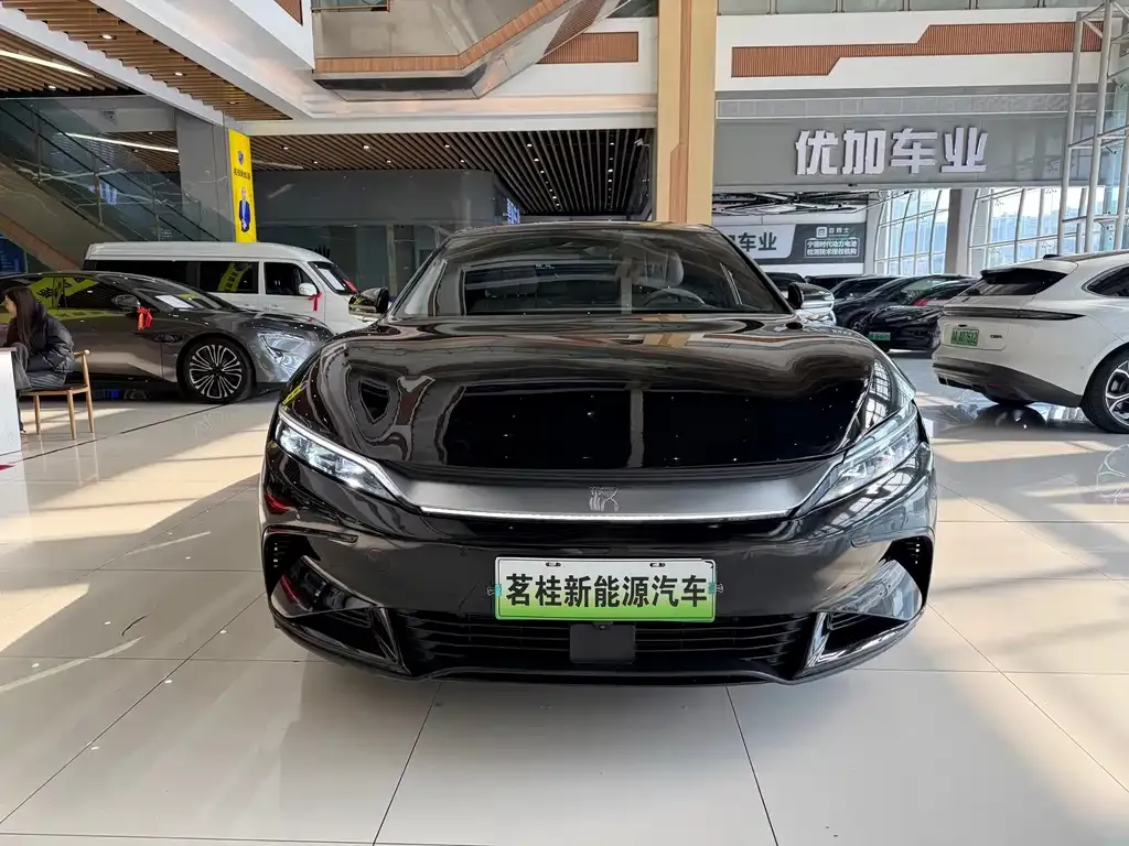 BYD Han — фото 10