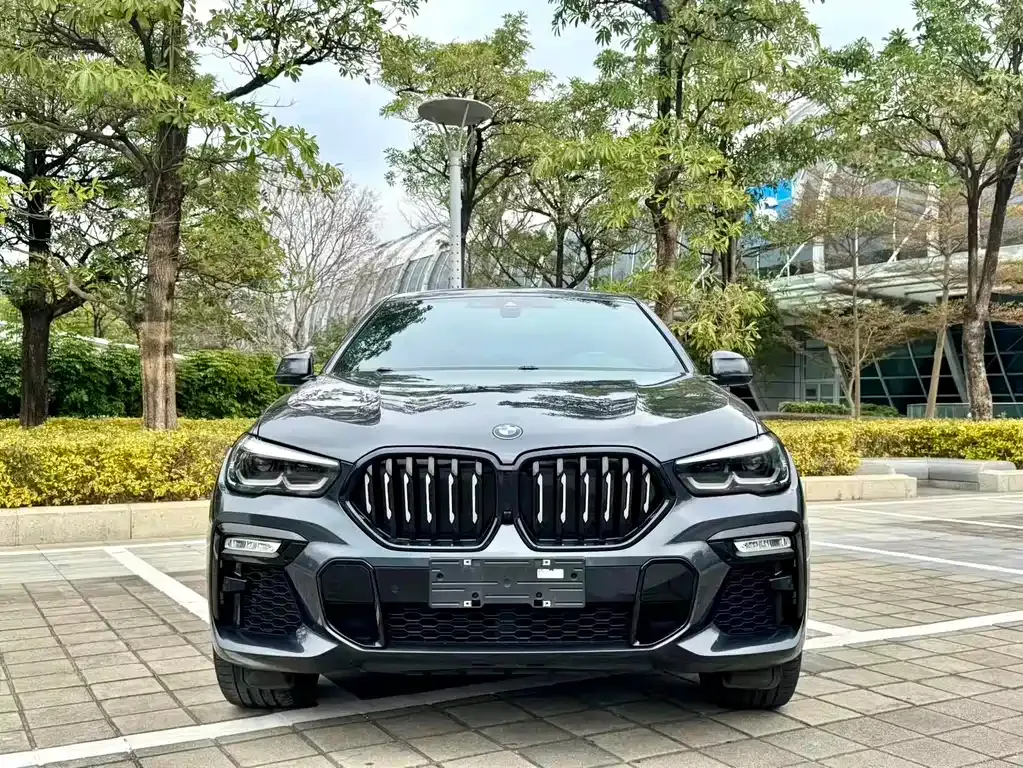 BMW X6 — фото 9