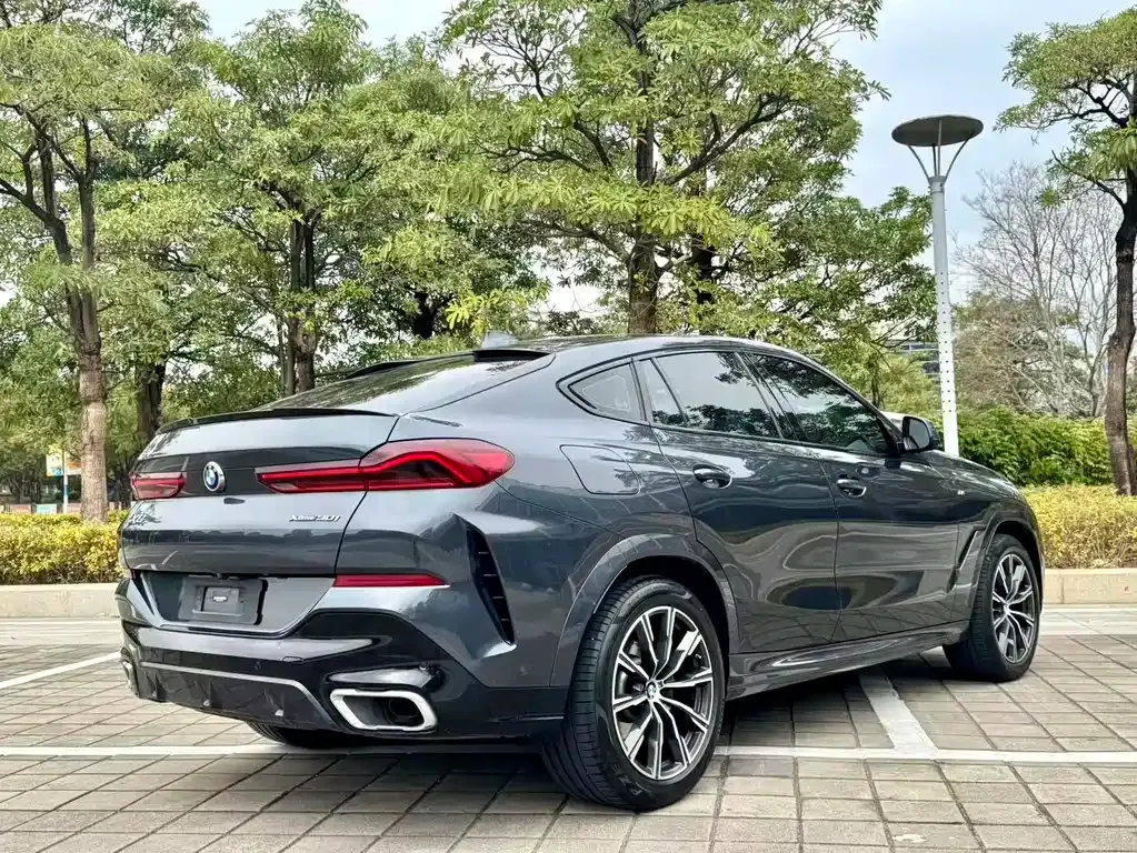 BMW X6 — фото 6