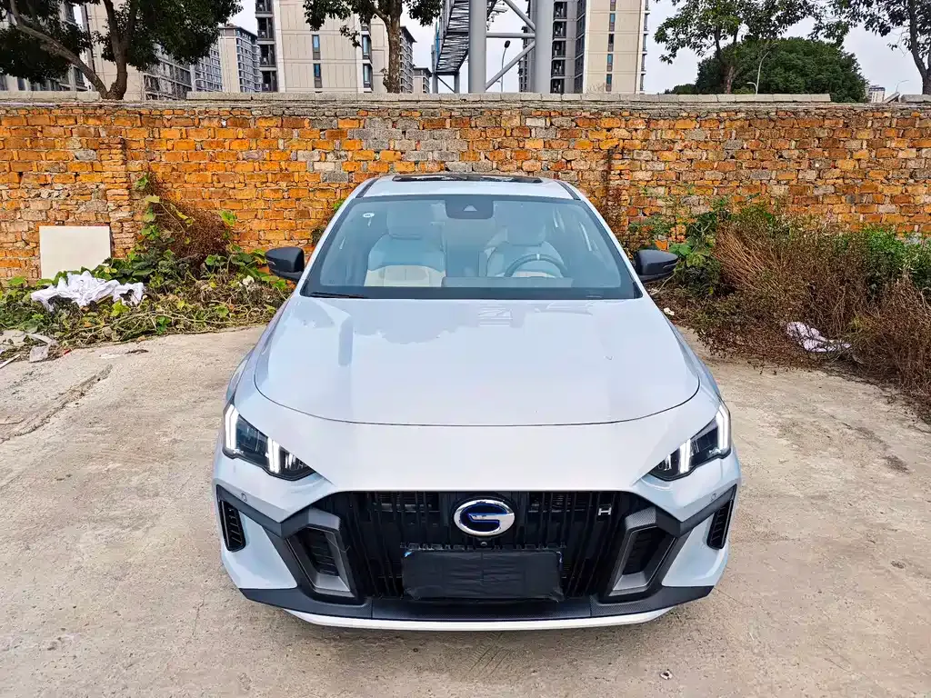 GAC Motor Shadow Leopard — фото 1