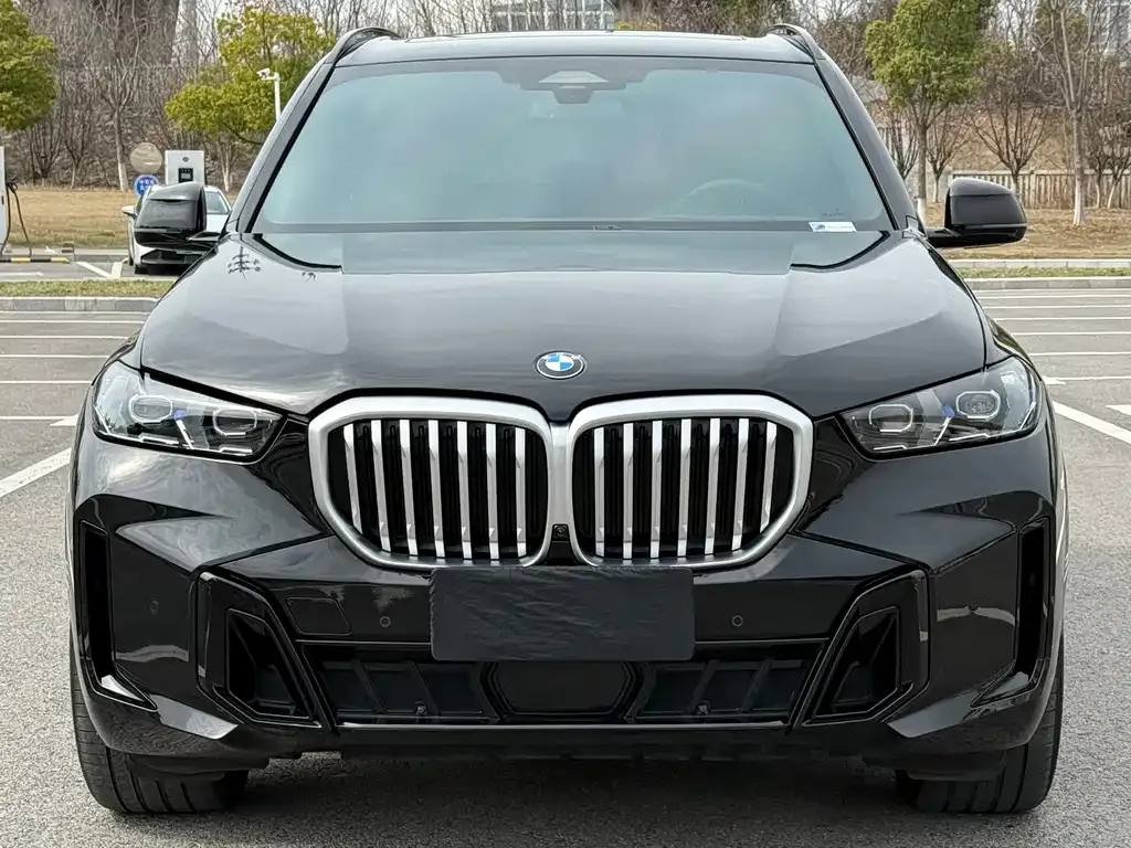 BMW X5 — фото 10