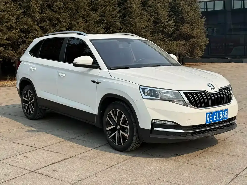 Skoda Kamiq — фото 10