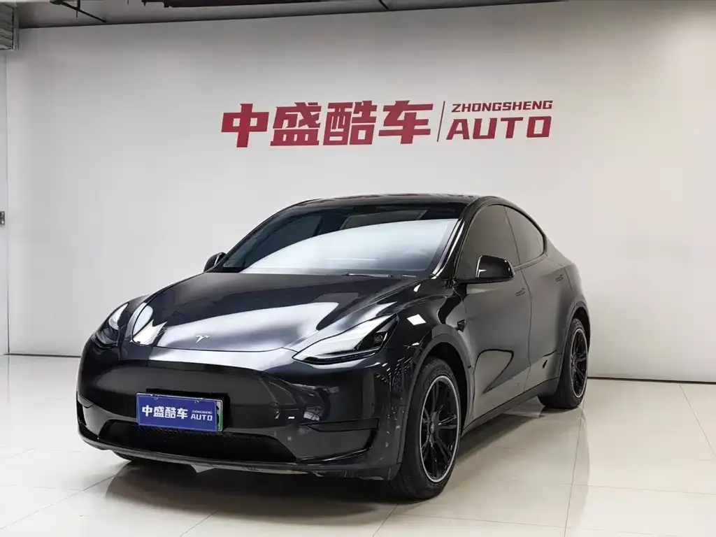 Tesla Model Y — фото 1