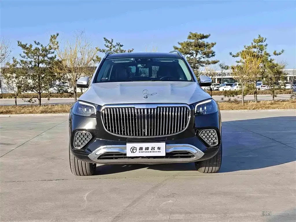 Mercedes-Benz GLS — фото 2