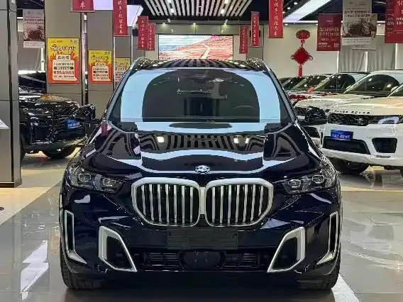 BMW X5 — фото 6