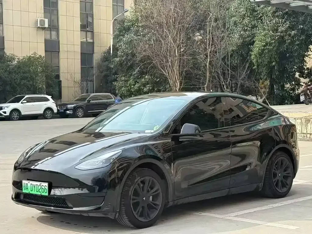 Tesla Model Y — фото 1