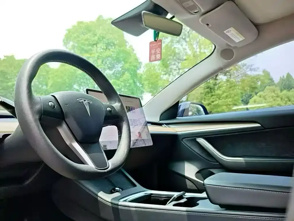 Tesla Model 3 — фото 2