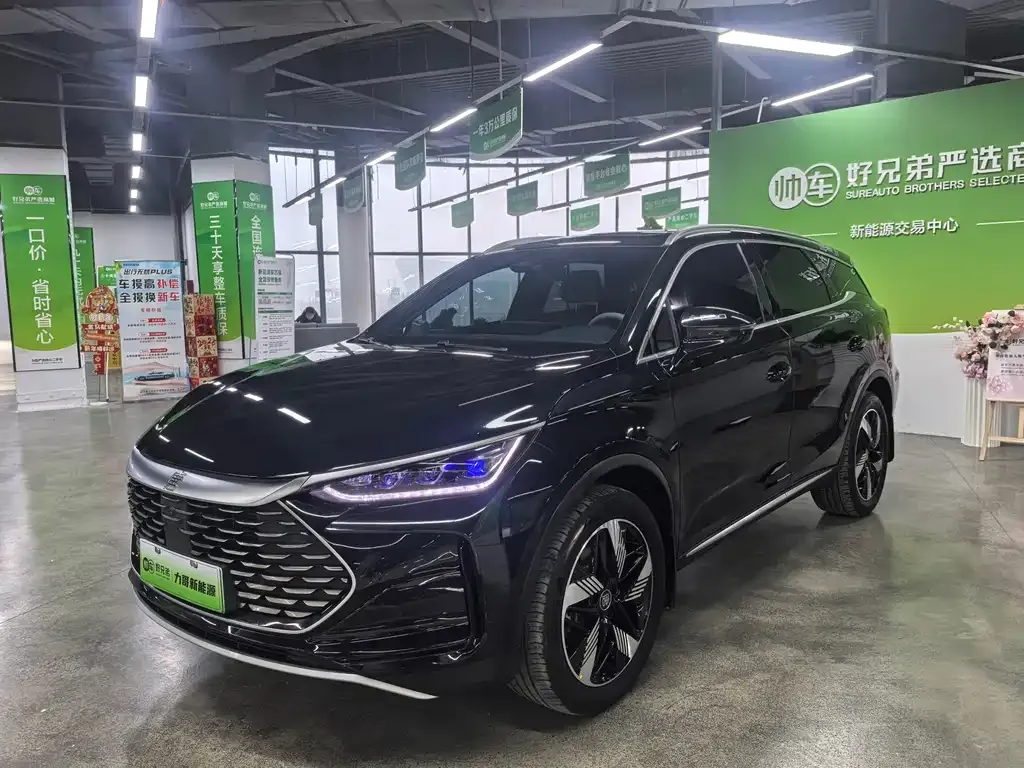 BYD Tang New Energy — фото 1