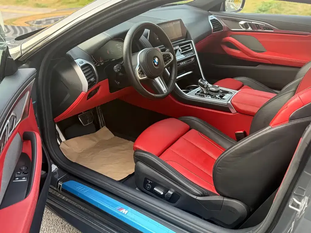 BMW 8 Series — фото 10