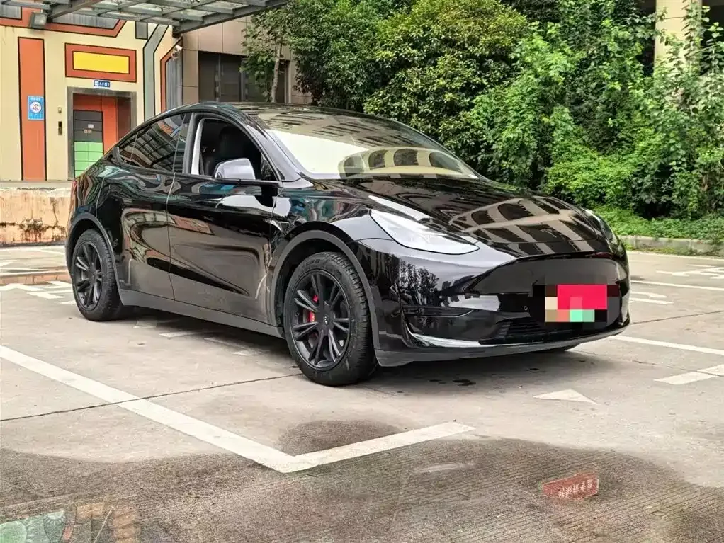 Tesla Model Y — фото 10