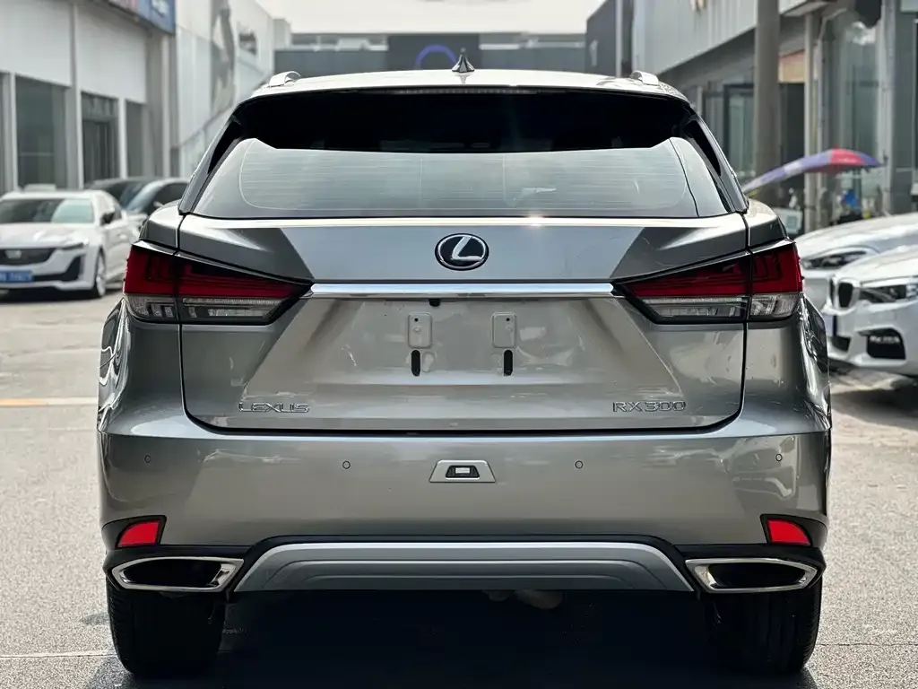Lexus RX — фото 9