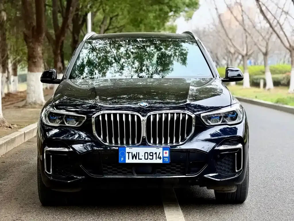 BMW X5 — фото 8