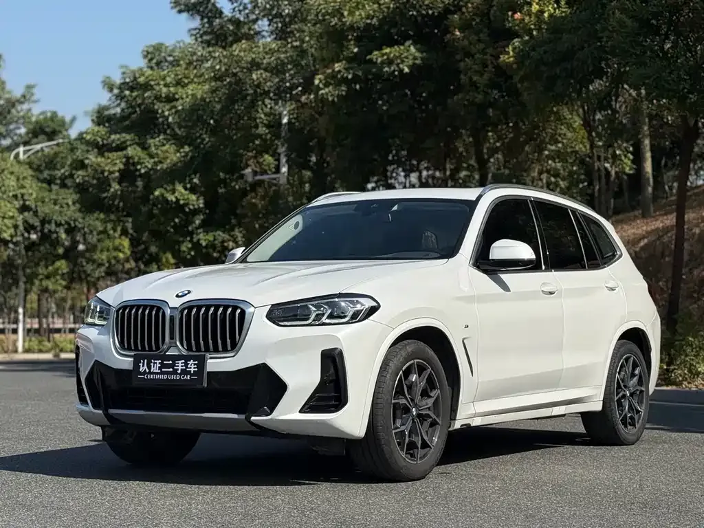 BMW X3 — фото 1